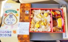 東京駅「栗おこわ弁当」(930円)～秋のおでかけに秋駅弁！