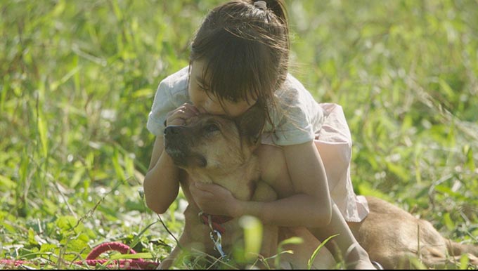 元野犬が映画で名演！ 主役の少女と犬は18ヵ月同居し真の絆を育む～『駅までの道をおしえて』