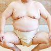 相撲の「関取」と「幕下以下」でどのくらい待遇が違うのか