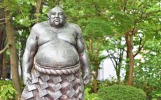 相撲の「東」と「西」の力士では何が変わるの？