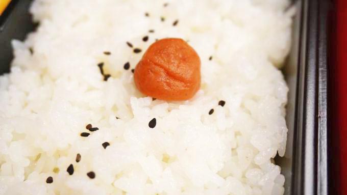 新潟駅「新潟コシヒカリ弁当」(1000円)～広大な越後平野と、豊かな水が生む美味しい米