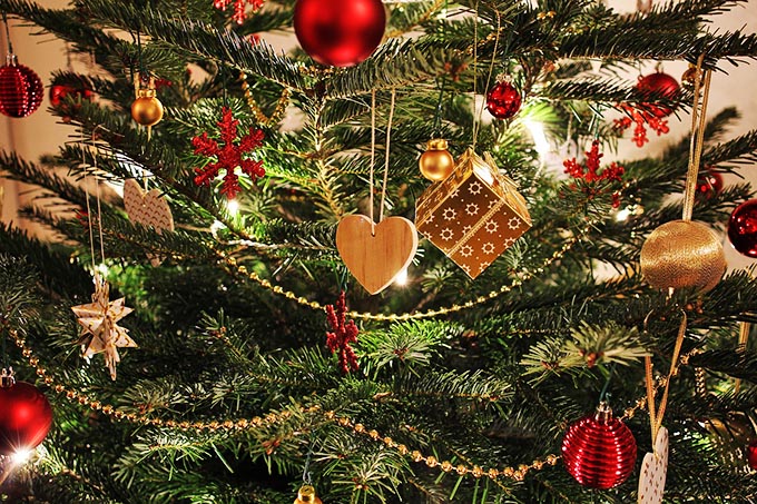 なぜクリスマスツリーに使われるのは「もみの木」なのか
