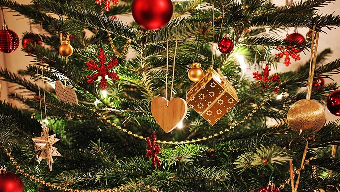 なぜクリスマスツリーに使われるのは もみの木 なのか ニッポン放送 News Online