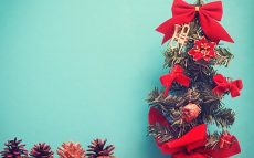 日本人で初めてクリスマスツリーを飾ったのは誰？