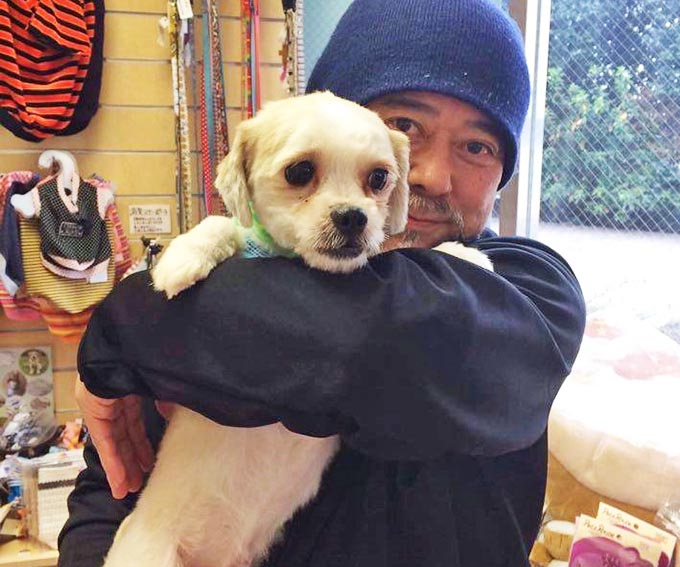 保護犬の預かりボランティアをペットロスから救った 1頭のモップ犬 ニッポン放送 News Online