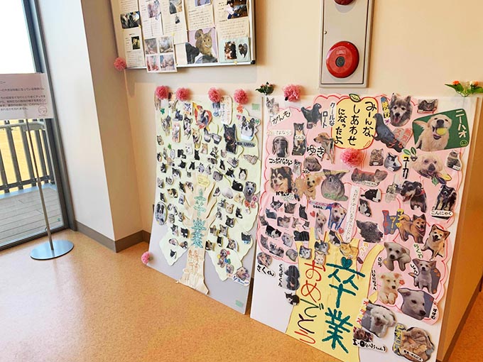 捨て犬を殺処分する獣医師の無念さと未来への願い～殺処分ゼロが続く神奈川県動物愛護センターの物語～