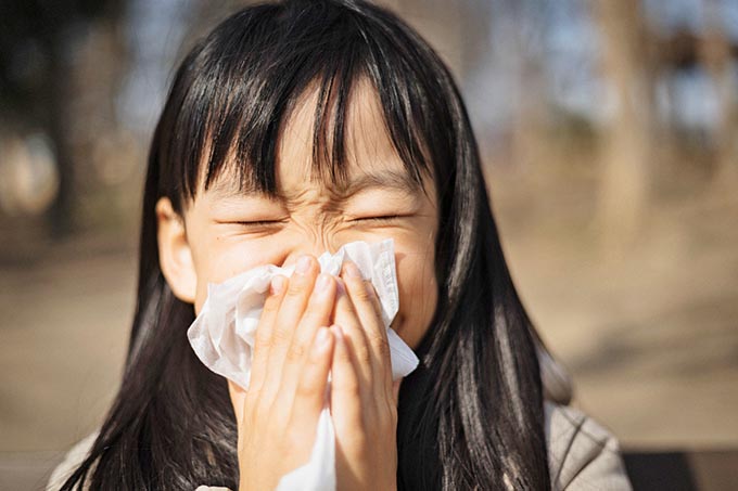 花粉症と風邪の違いって何？　医師が回答