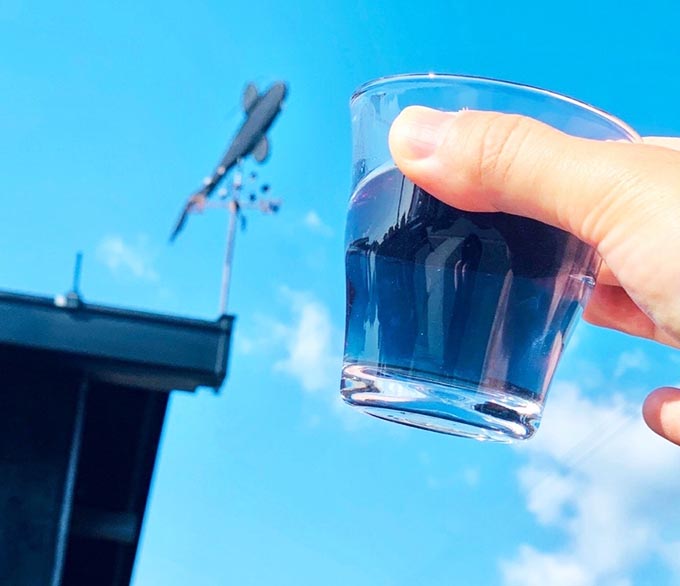 「琵琶湖をこの色に戻したい！」“青色のお茶”開発コンセプト