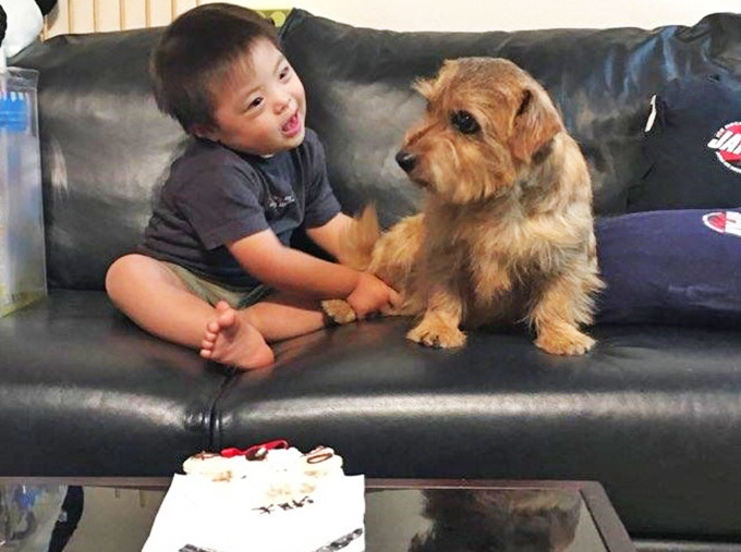 ダウン症の小学生を支えるテリア犬は 兄であり弟であり親友 ニッポン放送 News Online