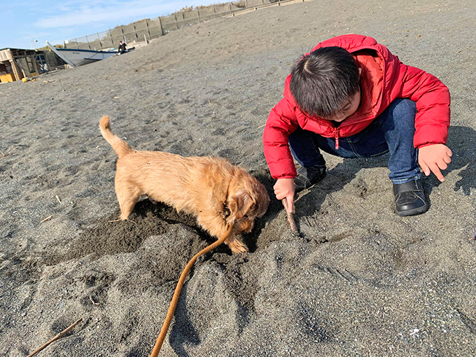 ダウン症の小学生を支えるテリア犬は、兄であり弟であり親友