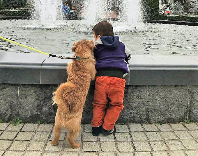 ダウン症の小学生を支えるテリア犬は、兄であり弟であり親友