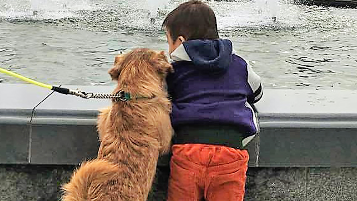 ダウン症の小学生を支えるテリア犬は 兄であり弟であり親友 ニッポン放送 News Online