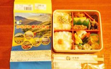 横浜駅「夏のかながわ味わい弁当」(960円)～この夏も、神奈川の風景を思い浮かべて駅弁！