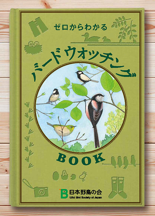 日本野鳥の会・レンジャー　嶋村早樹～バードウォッチングをしたいと思ったら