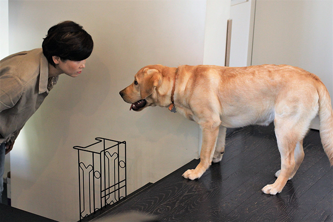 市川染五郎の母・藤間園子さんが忘れられない愛犬とは ～20年ぶりに犬を迎えて～