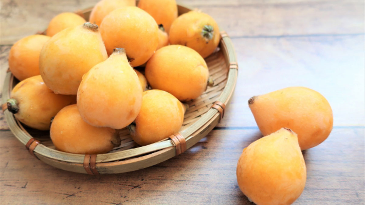 千葉県で誕生した世界初の種なしビワ 希房 ニッポン放送 News Online