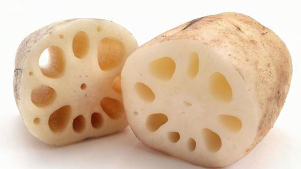 cec82e600f8ec38c142ec1548c9b56