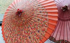 和傘を持つ時はどこを持つ？「和傘の豆知識」