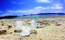 全体の約7割がプラスチック～海のゴミ問題を考える