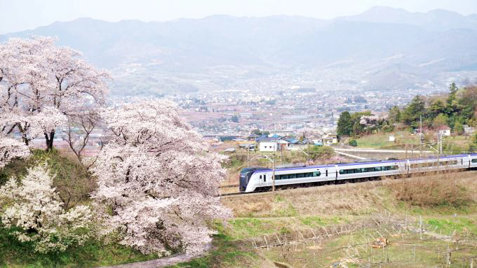 小淵沢駅「ワインのめし」(1500円)～春だ！ 山梨ワインに合う！ 新作駅弁登場！！