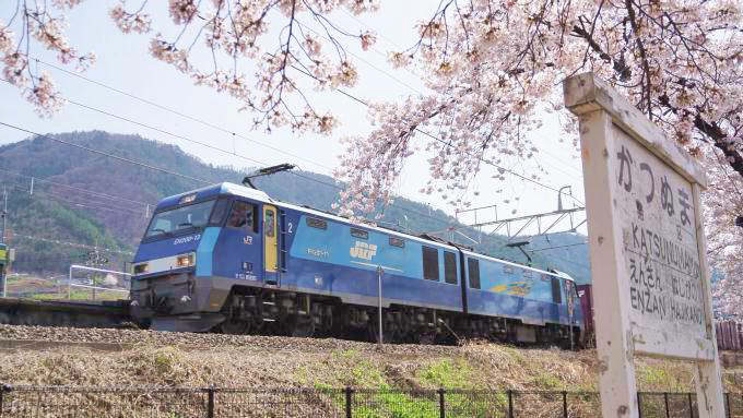 小淵沢駅「ワインのめし」(1500円)～春だ！ 山梨ワインに合う！ 新作駅弁登場！！