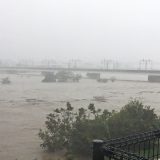 2019年の台風19号、多摩川では流木が濁流に流されていた