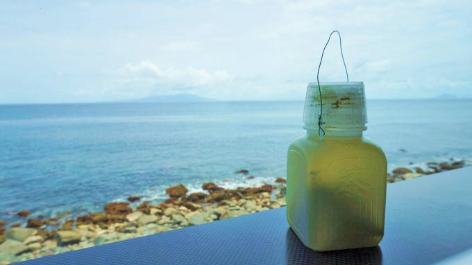 伊豆大島を眺めながら、ポリ茶瓶の「ぐり茶」