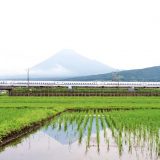 N700A新幹線電車「こだま」、東海道新幹線・三島～新富士間