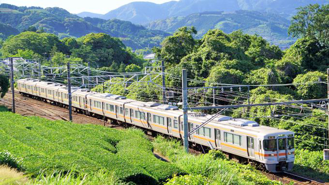 313系+211系電車・普通列車、東海道本線・金谷～島田間