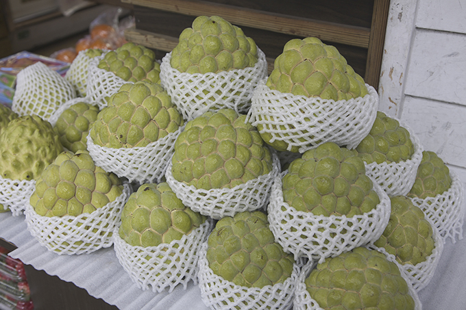 中国、台湾産の果物2種類を輸入禁止　～日本は今後中国にどう向き合うべきか