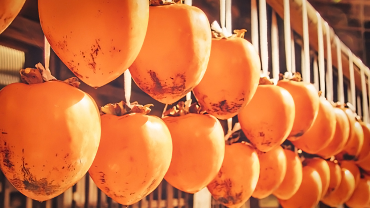 こんなにある 柿の種類 違いがわかりますか ニッポン放送 News Online こんなにある 柿の種類 違いがわかりますか ニッポン放送 News Online