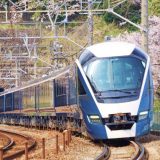 E261系電車・特急「サフィール踊り子」、東海道本線・早川～根府川間