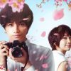 『桜のような僕の恋人』中島健人が世界に届ける、生涯忘れられない恋