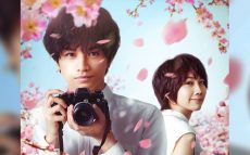 『桜のような僕の恋人』中島健人が世界に届ける、生涯忘れられない恋