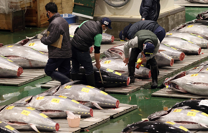 日本人がマグロを食べられない事態も　ウクライナ侵攻の影響でひっ迫する食料需給　