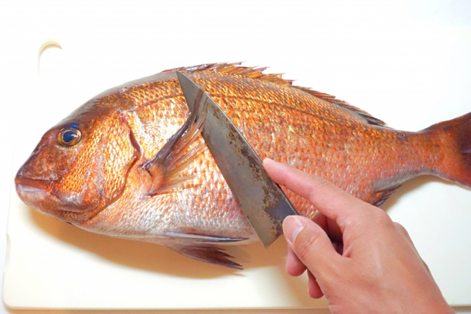 美味しく魚を食べるための「活け締め」という技術