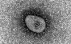 オミクロン変異株『BA.5』は「感染力がより強くなった」　医師が解説する流行するウイルスの条件