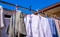 夏に気になる！ 服の”黄ばみ”と”ニオイ”を落とすコツ　洗濯のプロが解説