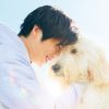 『ハウ』田中圭、俳優犬と紡いだ演技を超えた絆