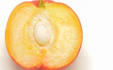 日本の遺跡から「桃の種」が見つかったのは何時代？