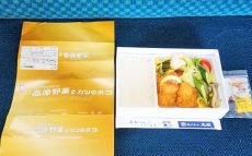 夏だけのプレミアムなカツ弁当、今年も小淵沢駅に登場！