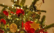 当初、「クリスマスツリー」には何が飾られていたの？