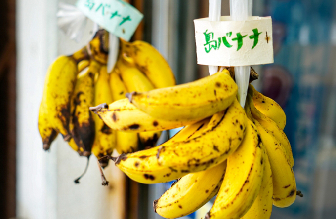 ご存じですか？ 絶滅に瀕しているバナナ「島バナナ」 – ニッポン放送 NEWS ONLINE