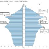 我が国の人口ピラミッド（令和２年10月１日現在）　出典 総務省統計局「日本の統計 2022」