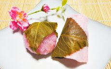 桜餅は「関東風・関西風」で何が違うの？