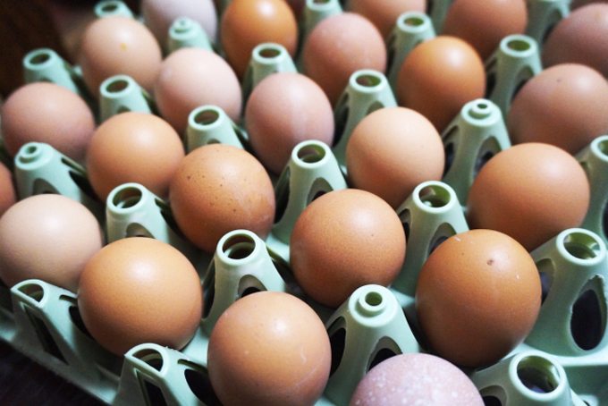 鶏卵不足の理由　「鳥インフルだけではない、もっと構造的な問題が背景に」辛坊治郎が解説
