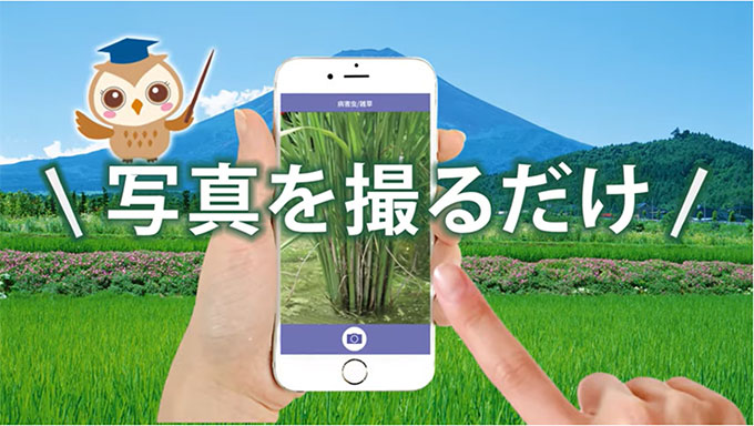 SDGsに取り組む農薬専業メーカー・日本農薬を特集　世界の「安定的な食の確保」と「豊かな生活」を守る環境を意識した事業内容に着目