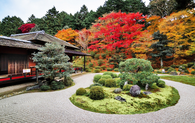 「日本庭園」と「洋風庭園」って何が違うの？