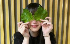 乃木坂46 久保史緒里、ナイナイ・岡村隆史から贈られた“シソらしき葉っぱ”を検証「岡村さん、これは、シソです！」
