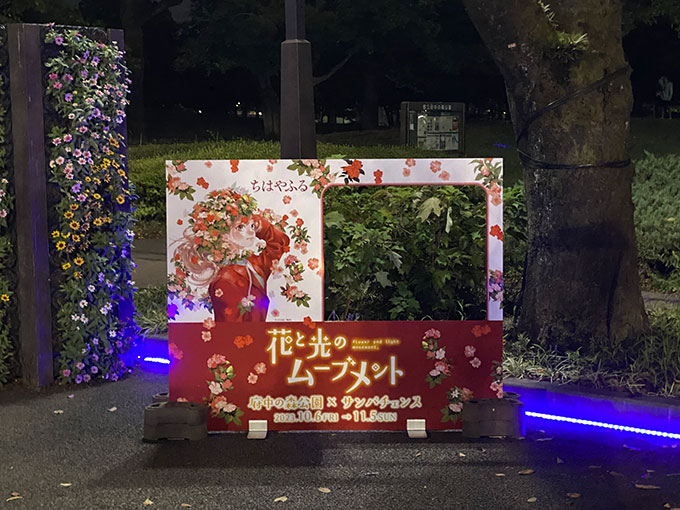 『花と光のムーブメント』が都立府中の森公園で開催　鮮やかなサンパチェンスと虹色カラーのライトアップで幻想的な世界を演出